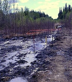 Alberta 2013 oil pipeline spill