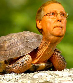 Mitch McConnell as turtle