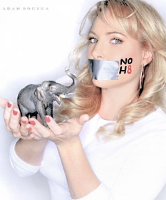 John McCain's daughter Meghan shown opposing Prop. 8 which outlawed gay marriage in California
