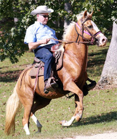 Roy Moore on horseback