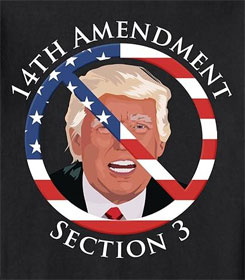 Donald Trump 14th Amendment Section 3