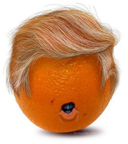 Donald Trump as tangerine by imgflip.com